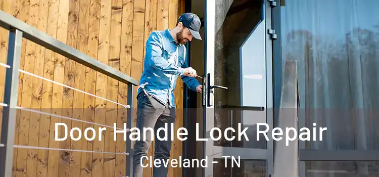  Door Handle Lock Repair Cleveland - TN