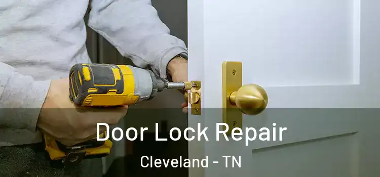  Door Lock Repair Cleveland - TN