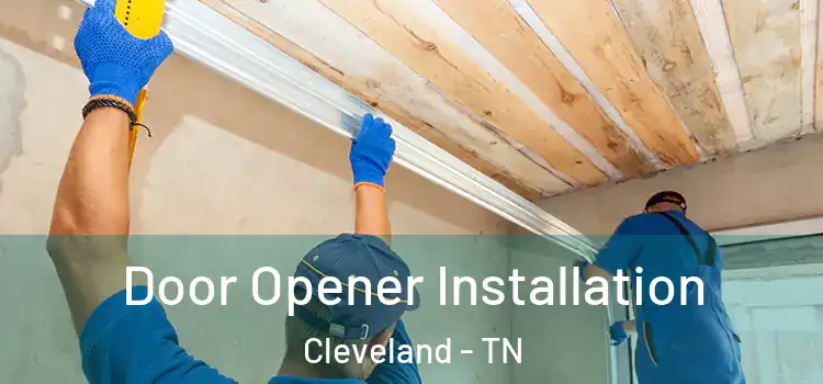  Door Opener Installation Cleveland - TN