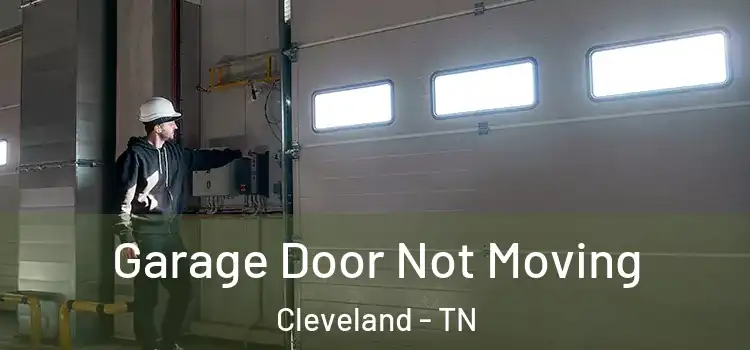  Garage Door Not Moving Cleveland - TN