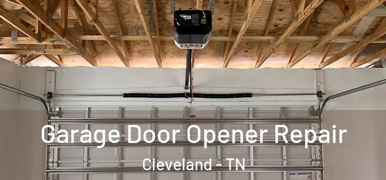  Garage Door Opener Repair Cleveland - TN