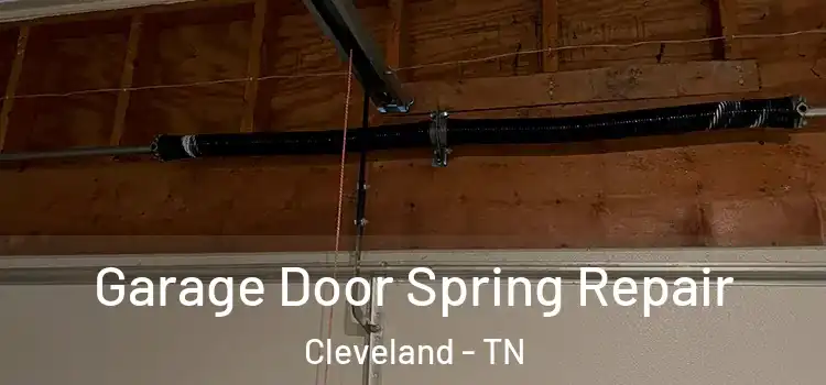  Garage Door Spring Repair Cleveland - TN