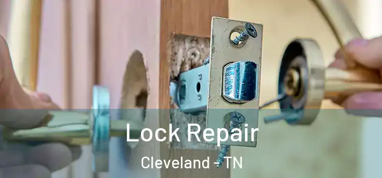  Lock Repair Cleveland - TN