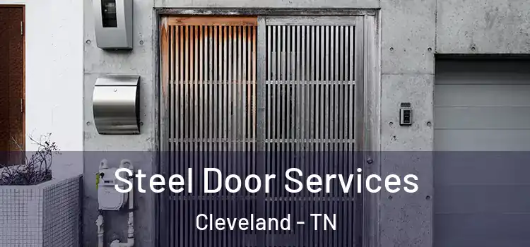  Steel Door Services Cleveland - TN